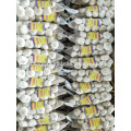 Braid pure white garlic 500g*20/carton China Jinxiang fresh garlic